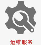 运维服务